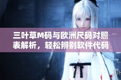 三葉草M碼與歐洲尺碼對照表解析，輕松辨別軟件代碼適配標準