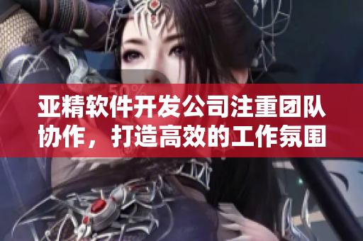 亞精軟件開發(fā)公司注重團(tuán)隊協(xié)作，打造高效的工作氛圍