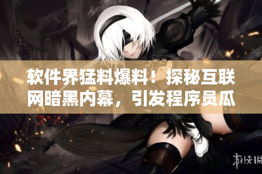 軟件界猛料爆料！探秘互聯(lián)網(wǎng)暗黑內(nèi)幕，引發(fā)程序員瓜友熱議