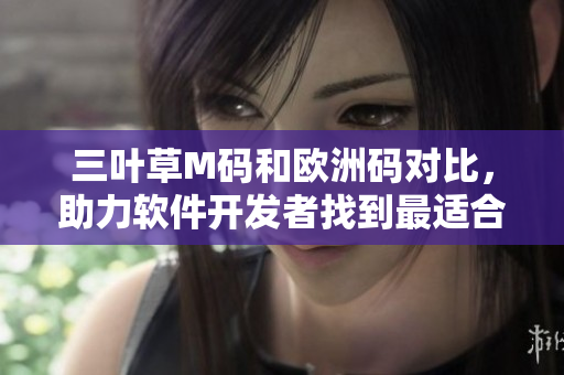 三葉草M碼和歐洲碼對(duì)比，助力軟件開發(fā)者找到最適合的編程裝備