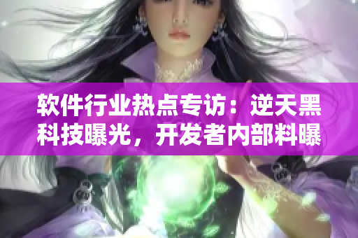 軟件行業(yè)熱點(diǎn)專訪：逆天黑科技曝光，開(kāi)發(fā)者內(nèi)部料曝光，驚人身世揭秘