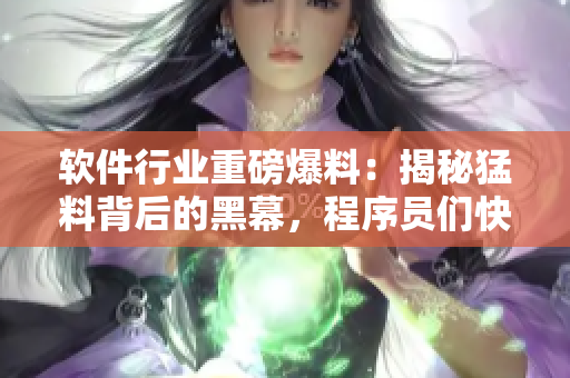 軟件行業(yè)重磅爆料：揭秘猛料背后的黑幕，程序員們快來圍觀！