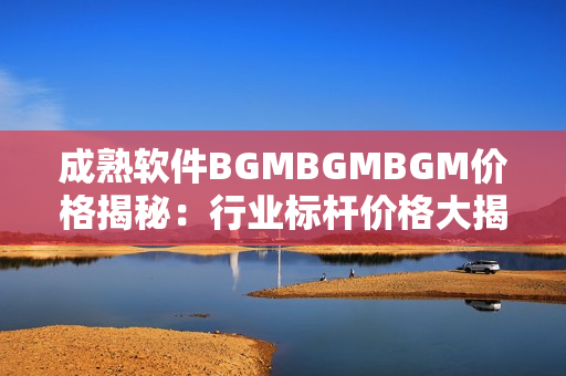 成熟軟件BGMBGMBGM價格揭秘：行業(yè)標桿價格大揭秘