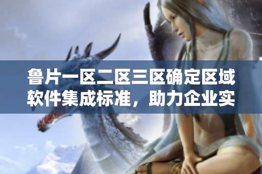 魯片一區(qū)二區(qū)三區(qū)確定區(qū)域軟件集成標(biāo)準(zhǔn)，助力企業(yè)實(shí)現(xiàn)高效運(yùn)營(yíng)