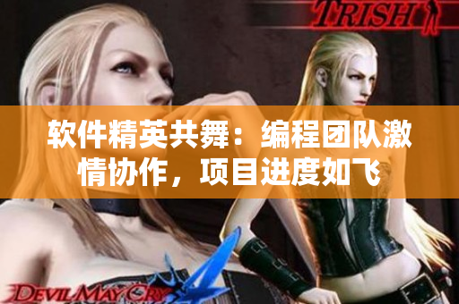 軟件精英共舞：編程團隊激情協(xié)作，項目進度如飛