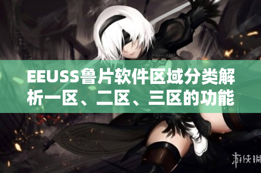EEUSS魯片軟件區(qū)域分類解析一區(qū)、二區(qū)、三區(qū)的功能與特點