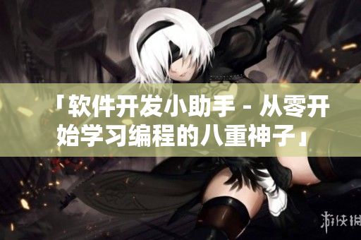 「軟件開(kāi)發(fā)小助手 - 從零開(kāi)始學(xué)習(xí)編程的八重神子」