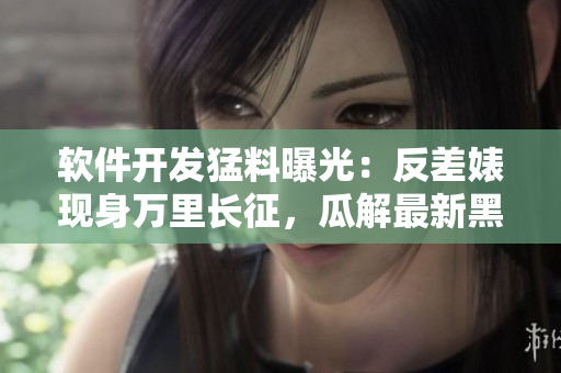 軟件開發(fā)猛料曝光：反差婊現(xiàn)身萬里長征，瓜解最新黑料集錦