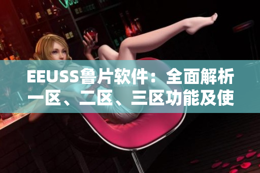 EEUSS魯片軟件：全面解析一區(qū)、二區(qū)、三區(qū)功能及使用技巧