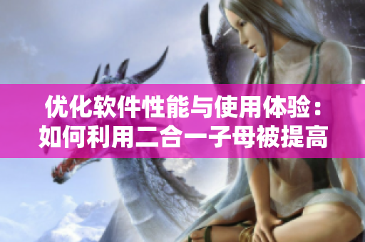 優(yōu)化軟件性能與使用體驗：如何利用二合一子母被提高代碼質量