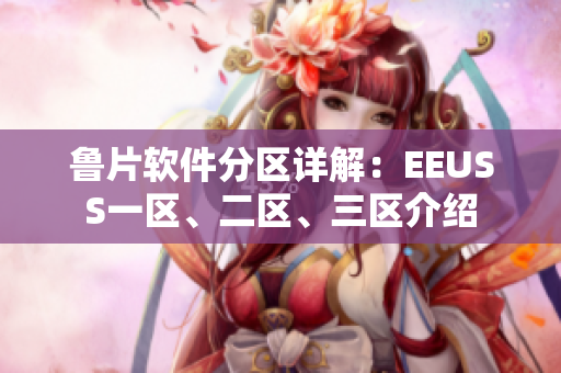 魯片軟件分區(qū)詳解：EEUSS一區(qū)、二區(qū)、三區(qū)介紹