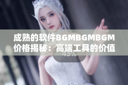 成熟的軟件BGMBGMBGM價(jià)格揭秘：高端工具的價(jià)值究竟為何？