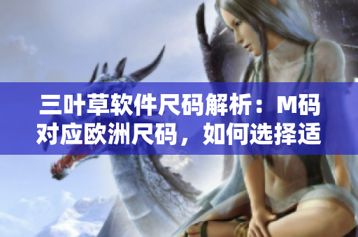 三葉草軟件尺碼解析：M碼對(duì)應(yīng)歐洲尺碼，如何選擇適合的軟件開發(fā)服裝？