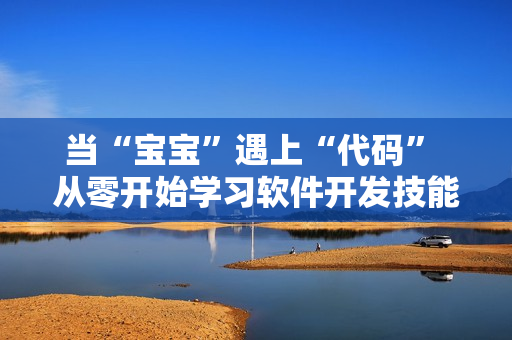當(dāng)“寶寶”遇上“代碼” 從零開(kāi)始學(xué)習(xí)軟件開(kāi)發(fā)技能