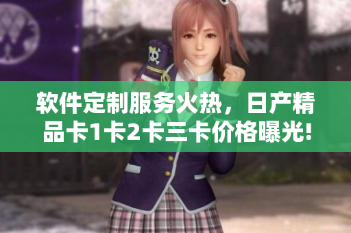軟件定制服務(wù)火熱，日產(chǎn)精品卡1卡2卡三卡價格曝光!