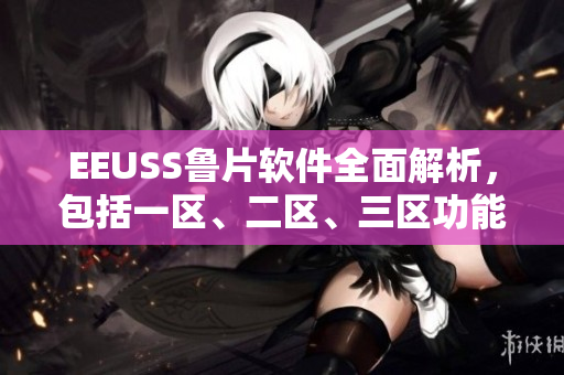 EEUSS魯片軟件全面解析，包括一區(qū)、二區(qū)、三區(qū)功能詳解