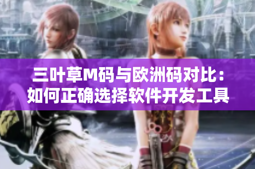 三葉草M碼與歐洲碼對(duì)比：如何正確選擇軟件開發(fā)工具尺碼