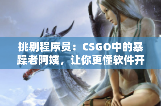 挑剔程序員：CSGO中的暴躁老阿姨，讓你更懂軟件開發(fā)技能