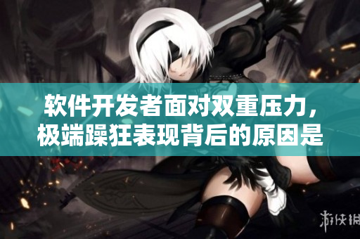 軟件開發(fā)者面對(duì)雙重壓力，極端躁狂表現(xiàn)背后的原因是什么？