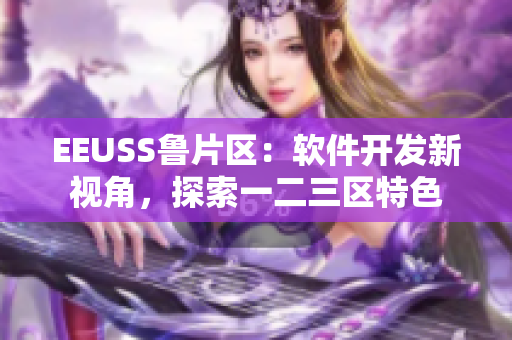 EEUSS魯片區(qū)：軟件開發(fā)新視角，探索一二三區(qū)特色