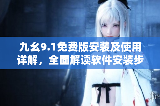 九幺9.1免費版安裝及使用詳解，全面解讀軟件安裝步驟