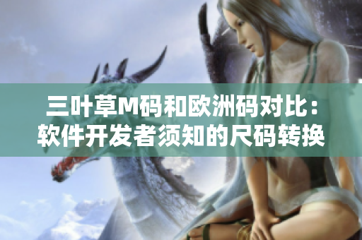 三葉草M碼和歐洲碼對比：軟件開發(fā)者須知的尺碼轉換秘籍