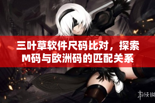三葉草軟件尺碼比對(duì)，探索M碼與歐洲碼的匹配關(guān)系