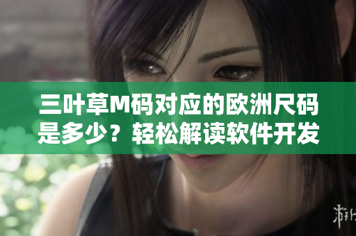 三葉草M碼對應(yīng)的歐洲尺碼是多少？輕松解讀軟件開發(fā)中的尺碼轉(zhuǎn)換技巧