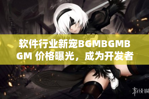軟件行業(yè)新寵BGMBGMBGM 價(jià)格曝光，成為開發(fā)者們的新寵兒