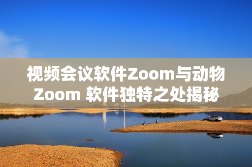視頻會議軟件Zoom與動物Zoom 軟件獨特之處揭秘
