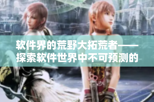 軟件界的荒野大拓荒者——探索軟件世界中不可預(yù)測(cè)的老奶奶
