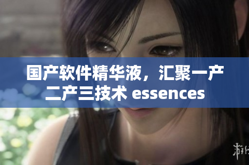 國產(chǎn)軟件精華液，匯聚一產(chǎn)二產(chǎn)三技術(shù) essences