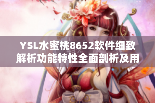 YSL水蜜桃8652軟件細(xì)致解析功能特性全面剖析及用戶體驗(yàn)分享