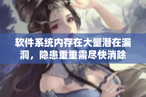 軟件系統(tǒng)內(nèi)存在大量潛在漏洞，隱患重重需盡快消除
