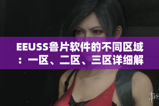 EEUSS魯片軟件的不同區(qū)域：一區(qū)、二區(qū)、三區(qū)詳細(xì)解析