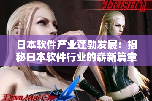 日本軟件產業(yè)蓬勃發(fā)展：揭秘日本軟件行業(yè)的嶄新篇章
