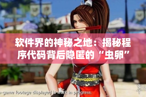 軟件界的神秘之地：揭秘程序代碼背后隱匿的“蟲卵”奧秘