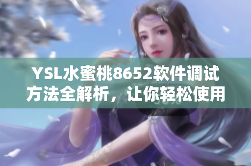 YSL水蜜桃8652軟件調(diào)試方法全解析，讓你輕松使用軟件！