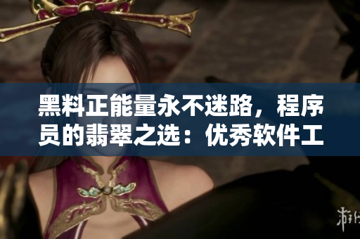 黑料正能量永不迷路，程序員的翡翠之選：優(yōu)秀軟件工程師必備的技能與經(jīng)驗