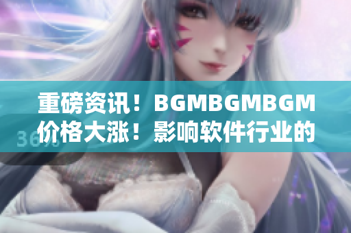 重磅資訊！BGMBGMBGM價格大漲！影響軟件行業(yè)的未來發(fā)展！