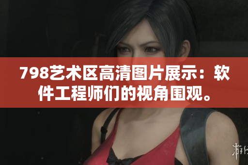 798藝術(shù)區(qū)高清圖片展示：軟件工程師們的視角圍觀。