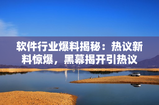 軟件行業(yè)爆料揭秘：熱議新料驚爆，黑幕揭開引熱議