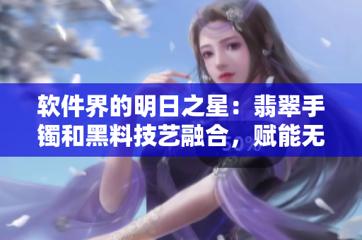 軟件界的明日之星：翡翠手鐲和黑料技藝融合，賦能無限創(chuàng)新力量