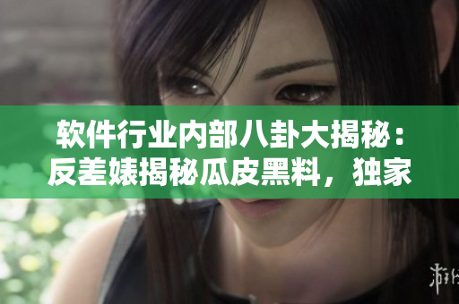 軟件行業(yè)內(nèi)部八卦大揭秘：反差婊揭秘瓜皮黑料，獨(dú)家曝光萬里長征！