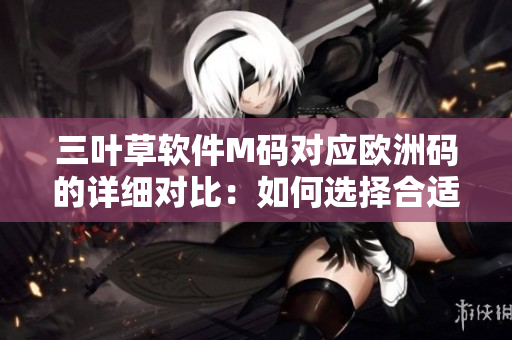 三葉草軟件M碼對(duì)應(yīng)歐洲碼的詳細(xì)對(duì)比：如何選擇合適的碼數(shù)？