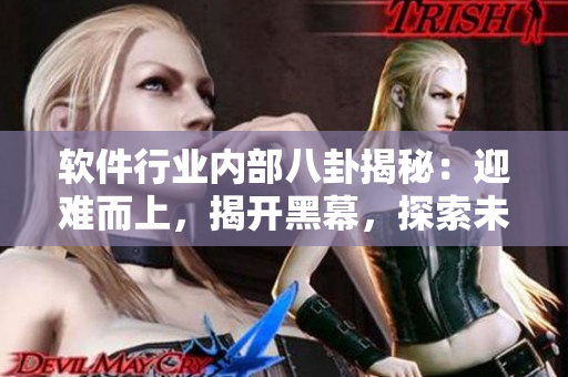 軟件行業(yè)內(nèi)部八卦揭秘：迎難而上，揭開(kāi)黑幕，探索未知，洞察行業(yè)萬(wàn)里長(zhǎng)征