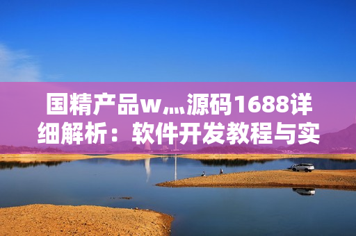 國(guó)精產(chǎn)品w灬源碼1688詳細(xì)解析：軟件開發(fā)教程與實(shí)例分析
