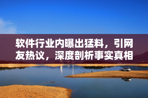 軟件行業(yè)內(nèi)曝出猛料，引網(wǎng)友熱議，深度剖析事實(shí)真相