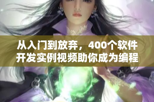 從入門到放棄，400個軟件開發(fā)實(shí)例視頻助你成為編程大神！