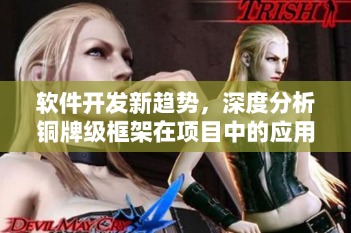 軟件開發(fā)新趨勢(shì)，深度分析銅牌級(jí)框架在項(xiàng)目中的應(yīng)用和優(yōu)勢(shì)